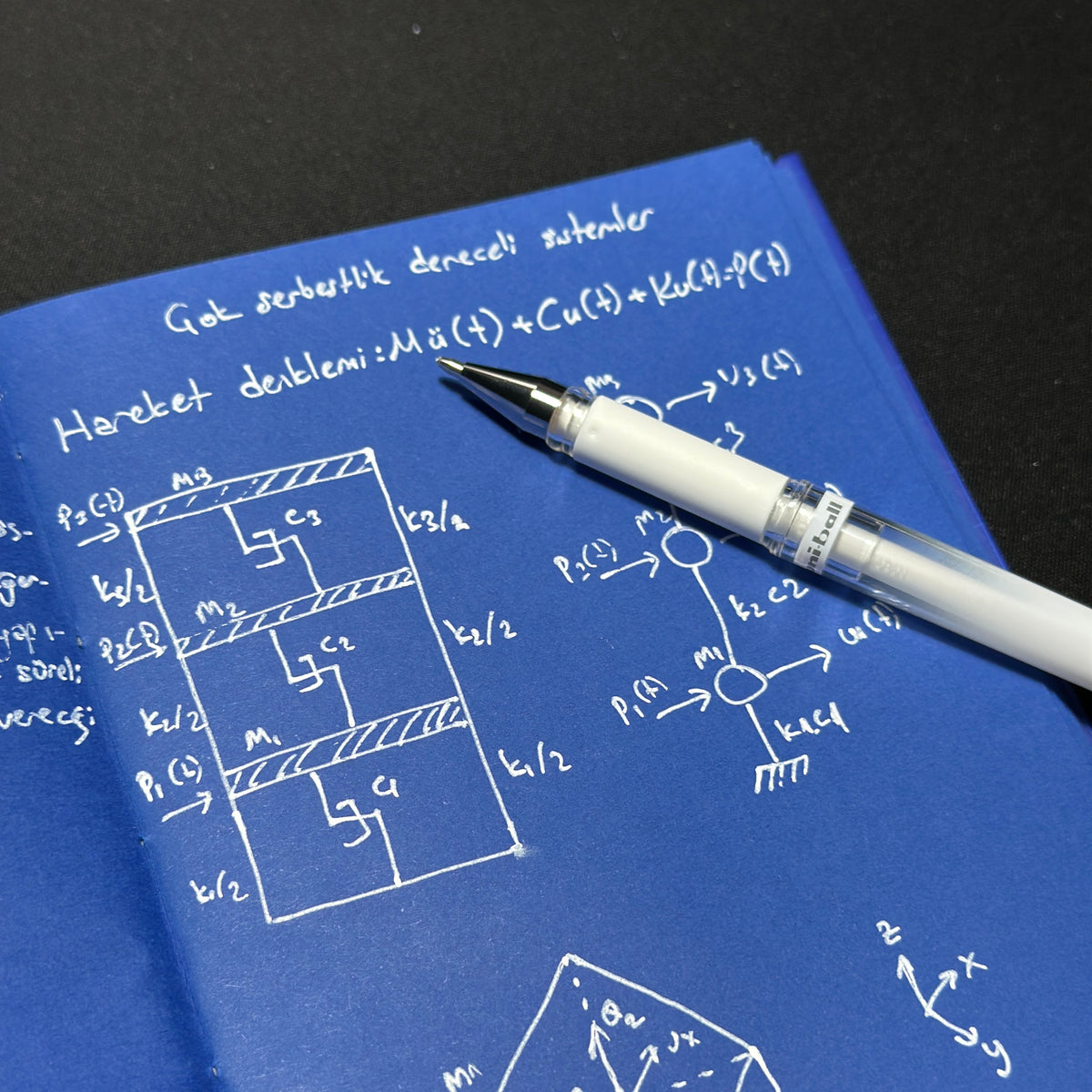 Mavi Yapraklı Defter